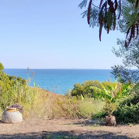 Secluded Beach Apartments, Skala - Apt 3 * Skala (Kefalonia)